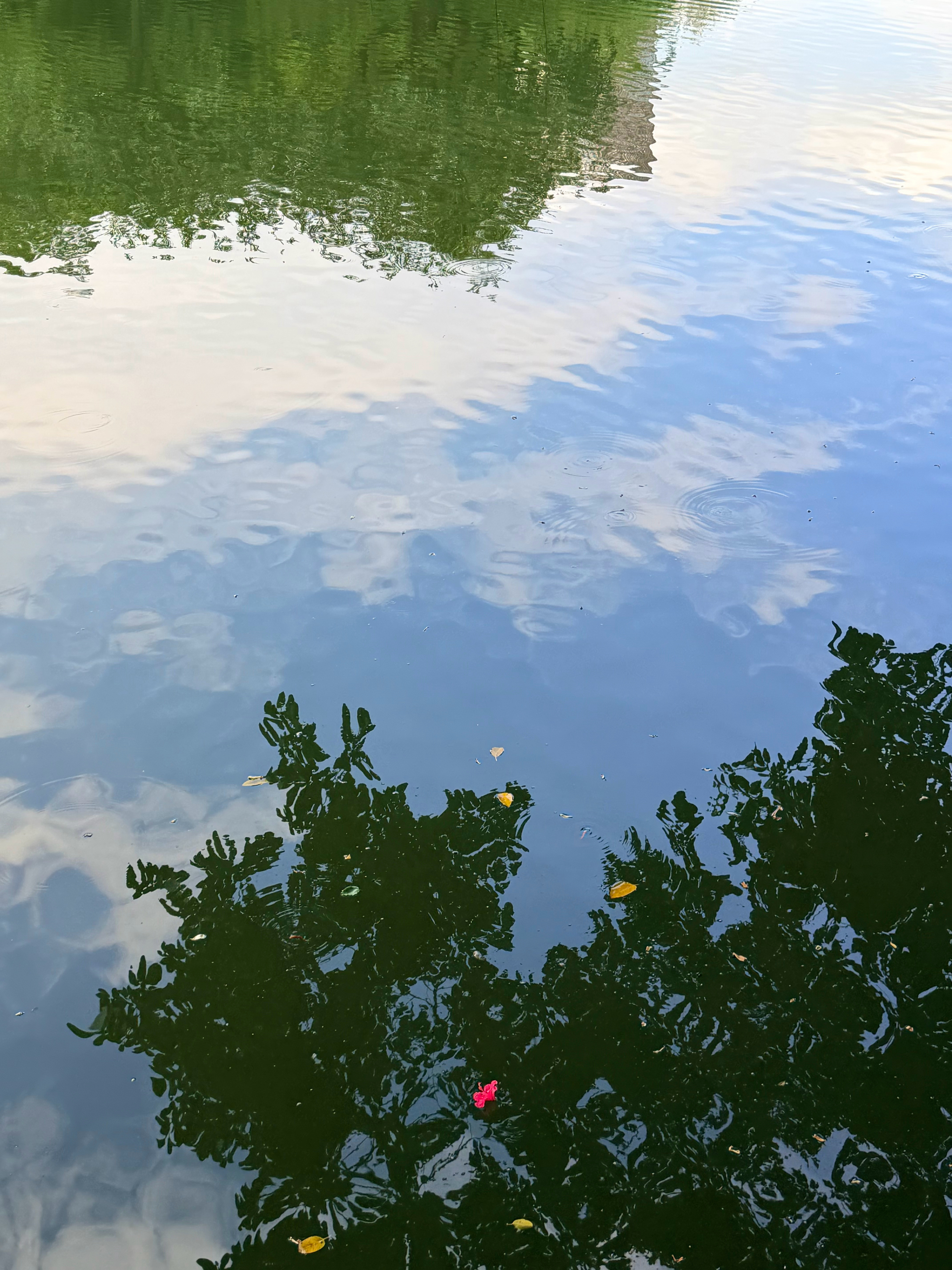 都是最近看到的天空，每天抬头：“宇宙爸爸～把一都交给你啦～”☁️然后就是宇宙已读
