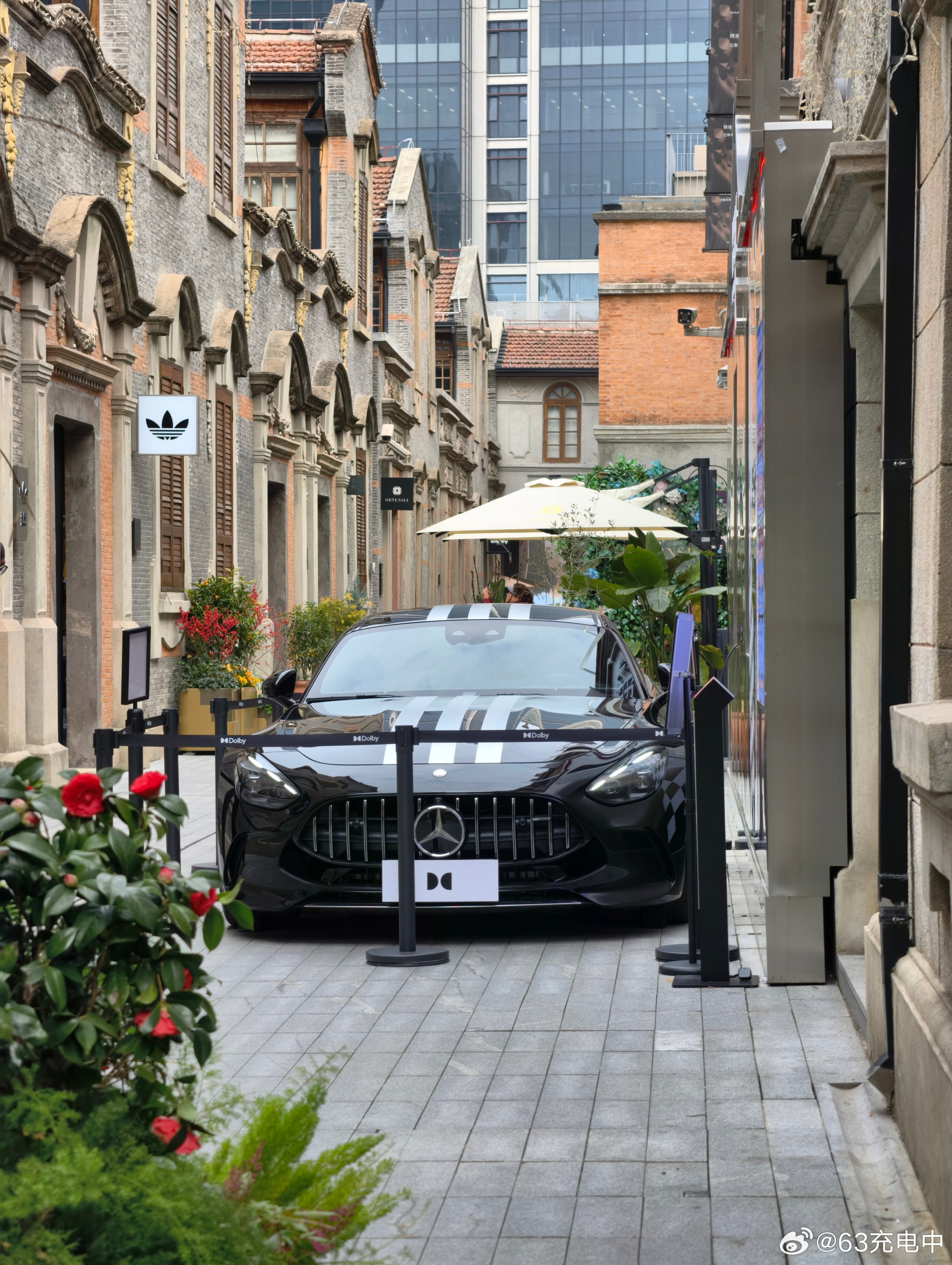 摄影作品：内有猛兽