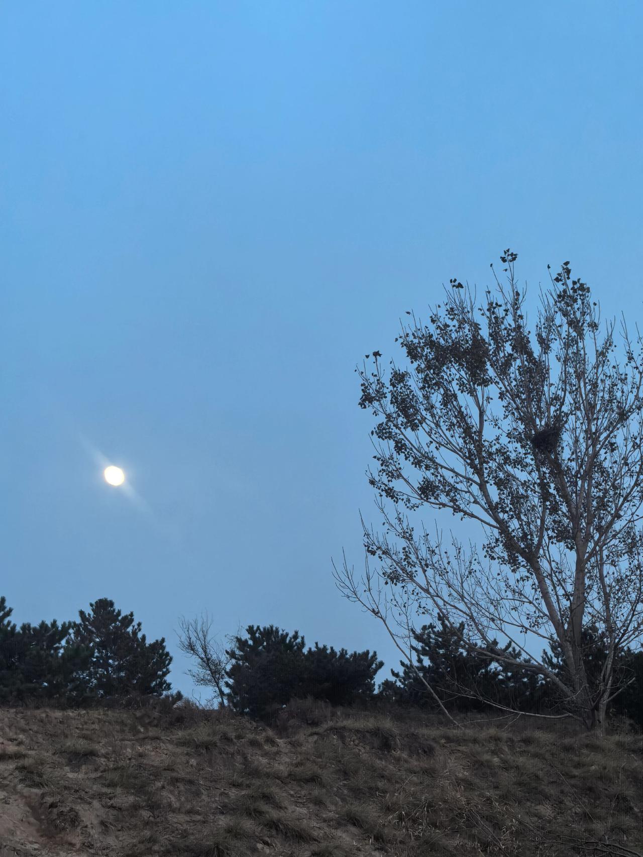 忙在不老中；福在健康中；笑在生活中；美在善良中；乐在知足中；祝在微信中。情意浓浓