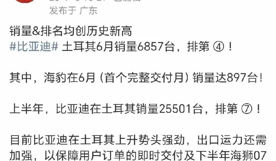 特斯拉毛豆Y在土耳其售价低于海豹ev和宋plusev/宋plusdmi，不同的