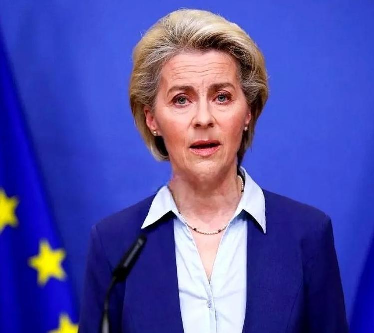 有人当着冯德莱恩的面，问了一个让她差点当场“宕机”的问题。他说，如果美军航母封