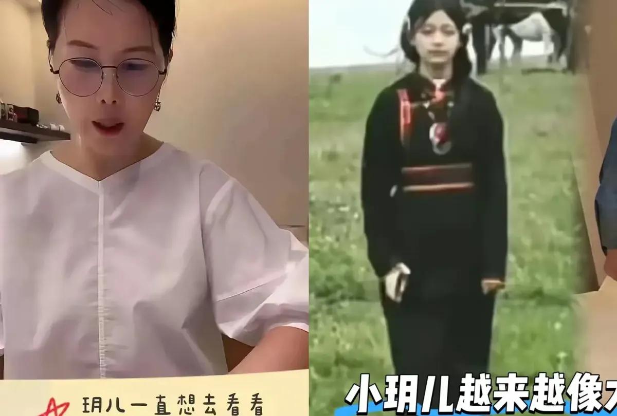 小杨阿姨一句玥玥想去看妈妈，捅破了S家的窗户纸。孩子只想看看妈妈，可大S