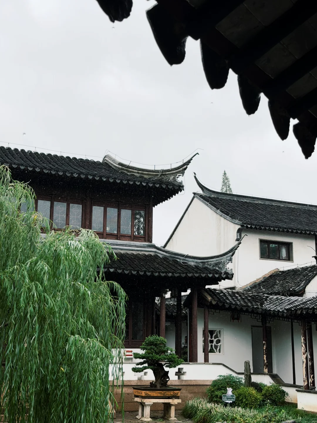 瞻园实况~我在南京的雨天找到了烟雨江南☔