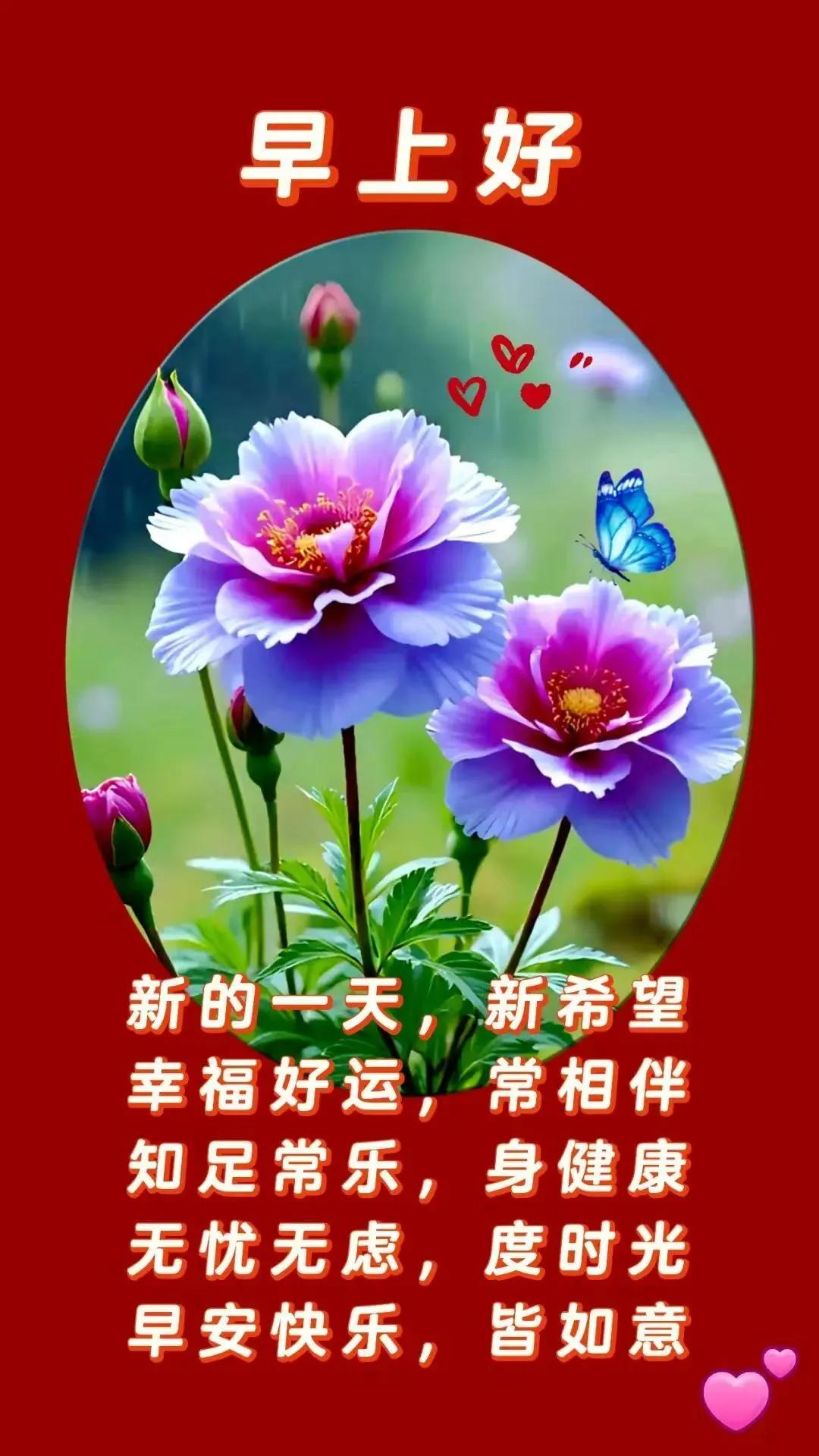時光荏苒讓人留戀，歲月靜好雕琢精彩，友誼真誠豐富人生，問候溫馨侵入心靈，