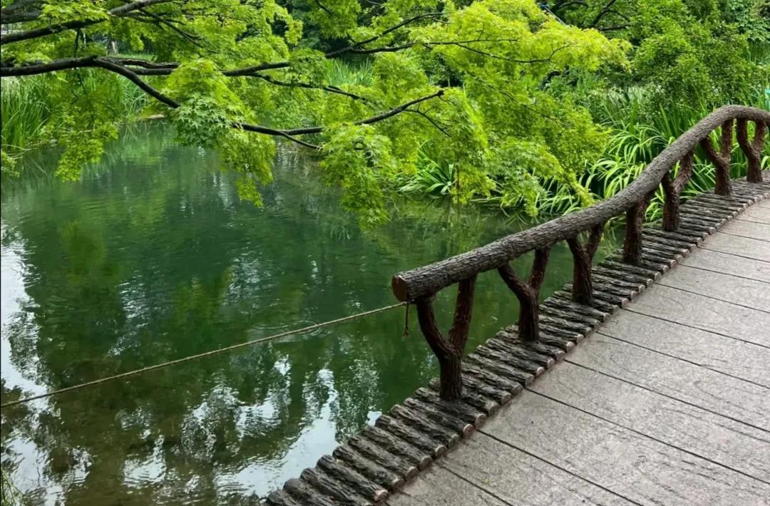 比劫克财篇之一：底层逻辑所有忌比劫走比劫大运流年的朋友都会遇到比劫克财即破财，