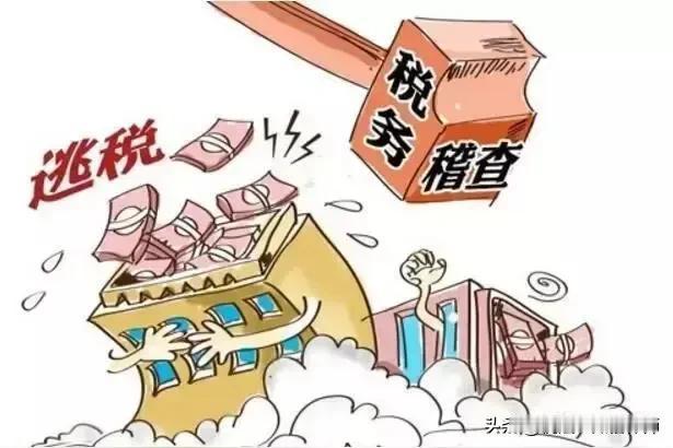 找税务师、会计师、财税中介做税务合规,一律都是操刀伤锦；很简单，他们没有诉讼经验