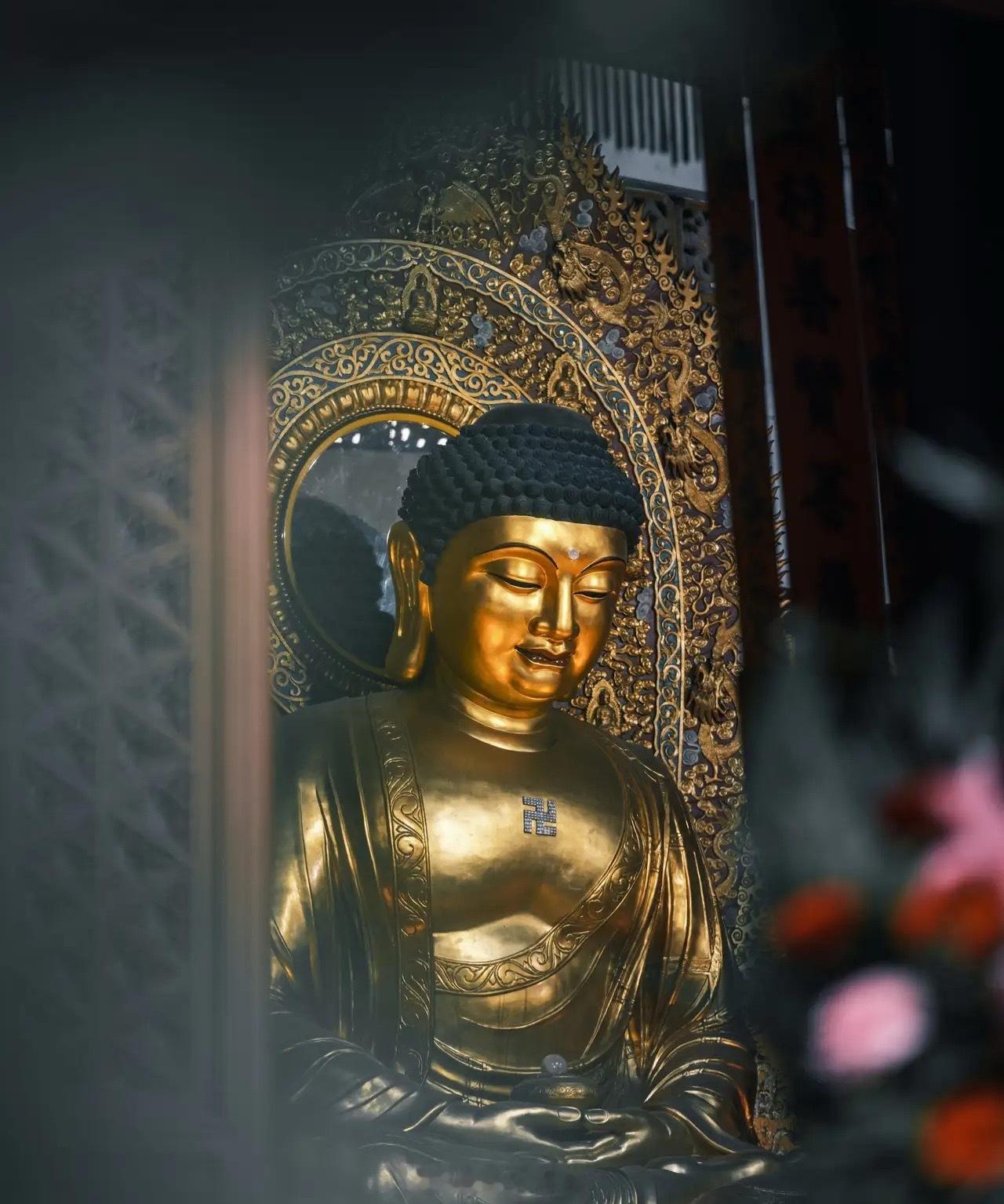 【许愿池第1517期】许愿祈福的时候到了，心诚则灵，有求必应🙏🙏🙏
