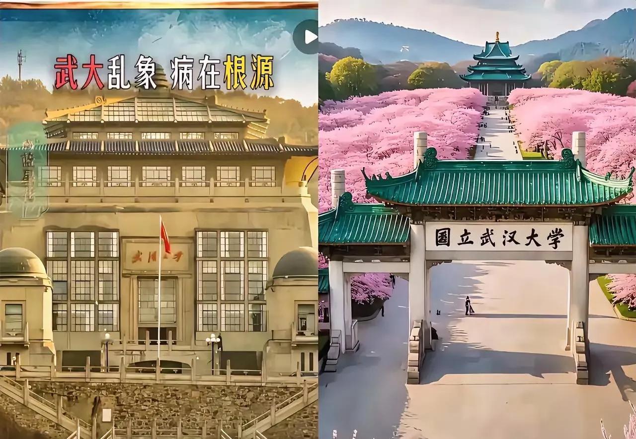 武大最不想看到的事情，终究还是发生了！武汉大学这几日被撤销985资格的呼