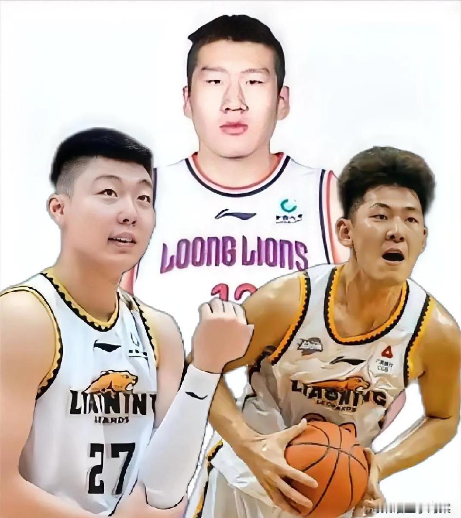 兄弟们！鉴于辽宁队的内线孱弱！我有个大胆的猜想！下赛季辽宁队可以用这两个人和新疆
