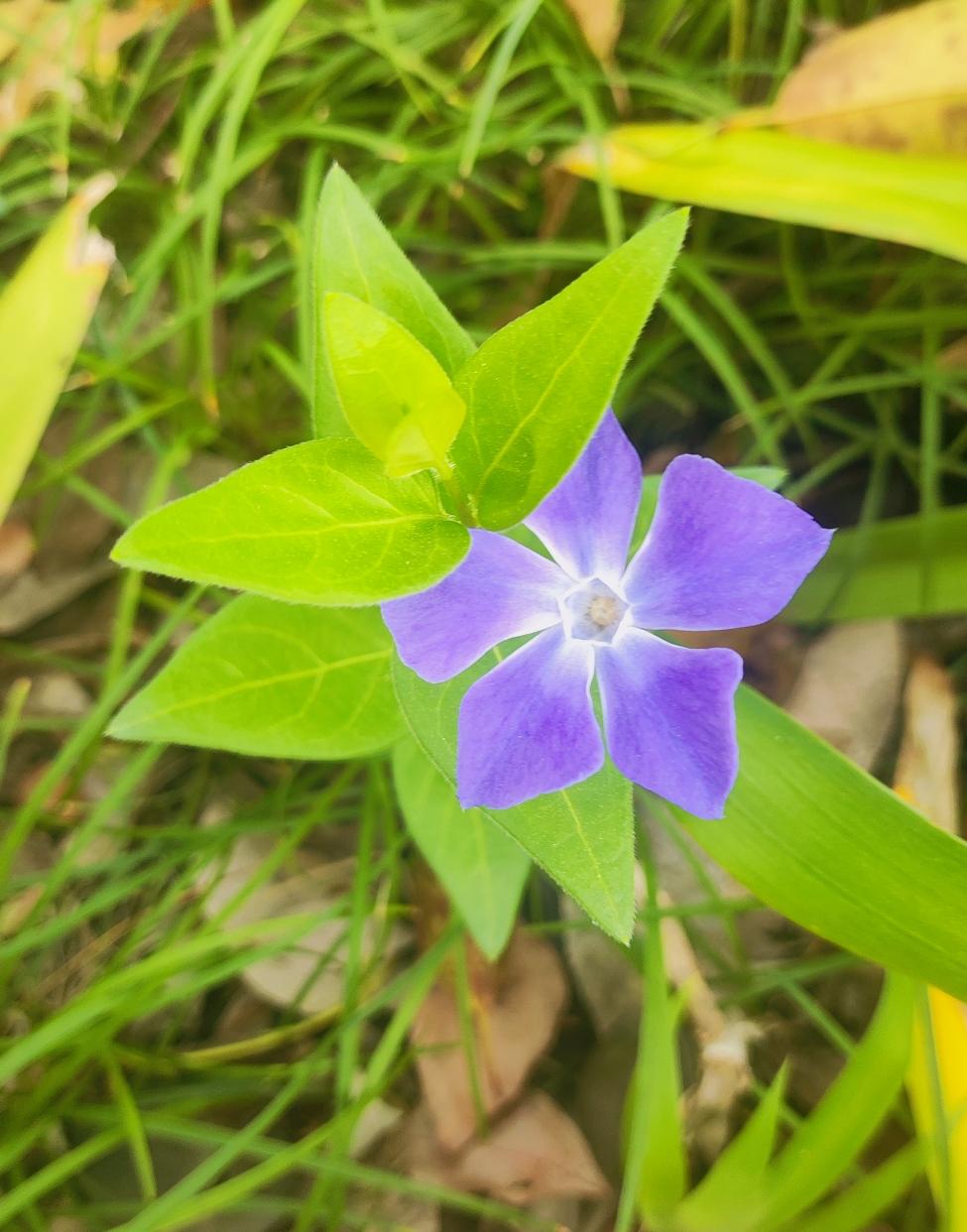 ​​​男女关系都是相互的，人这一辈子，​需要的是一个可以相互沟通双向奔赴的亲密关