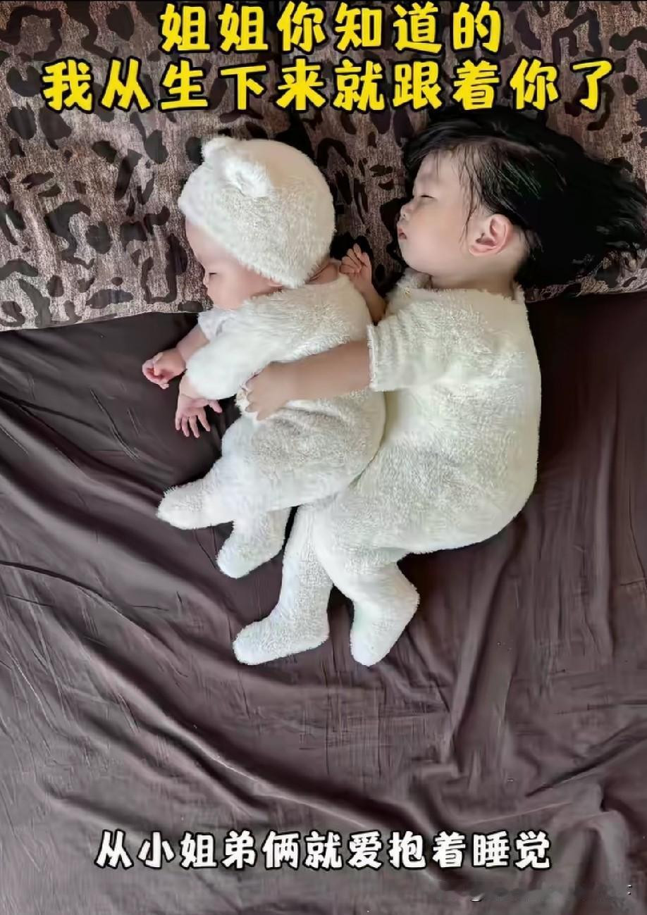 两个都小小只，可爱！