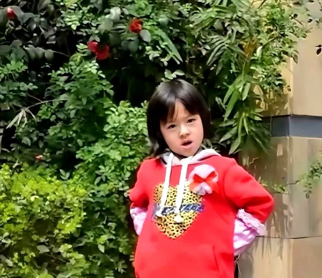 我怀疑黄杨钿甜家并不是很有钱，为什么这么说？原因好简单。你们看黄