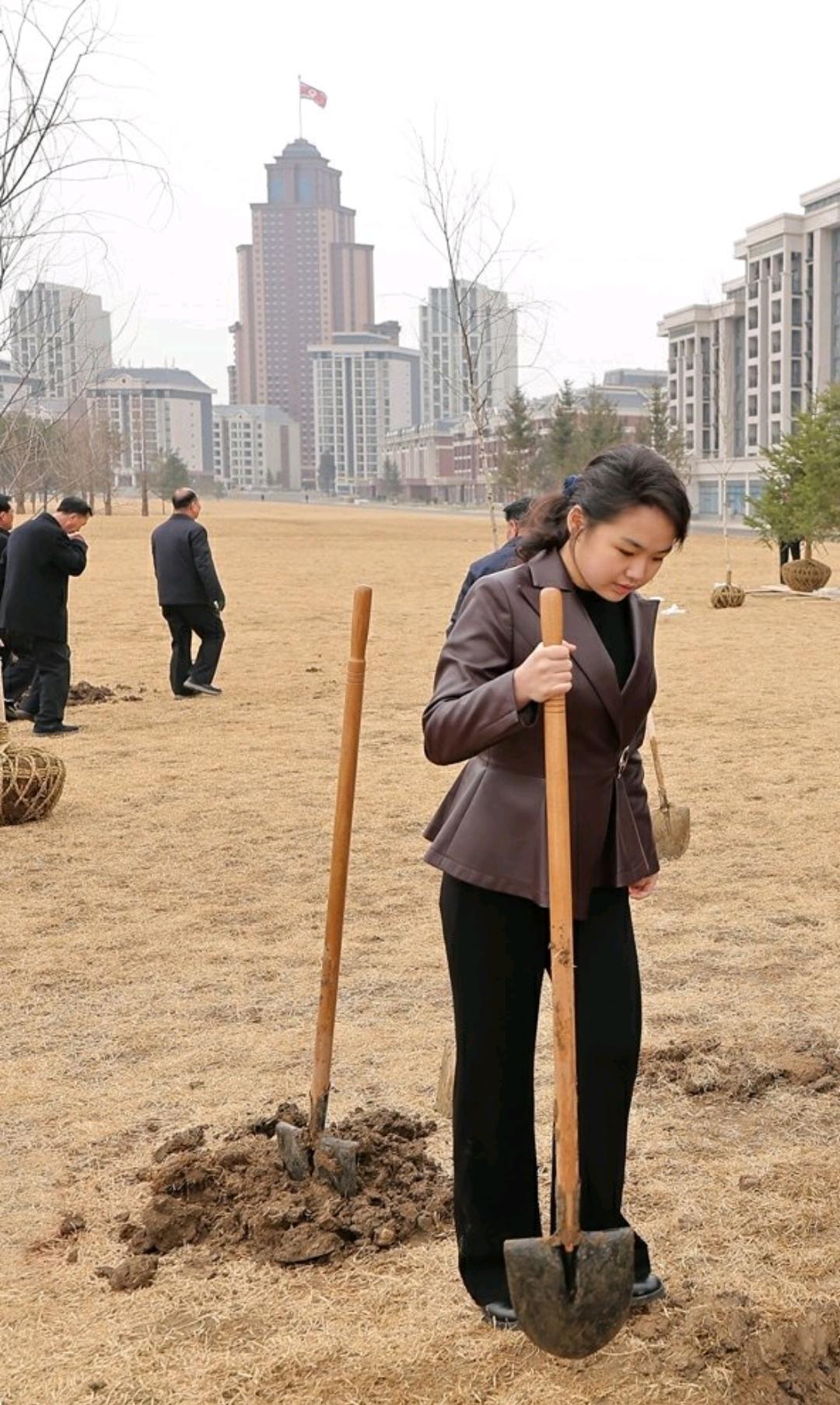 看着面熟，是谁在种树？