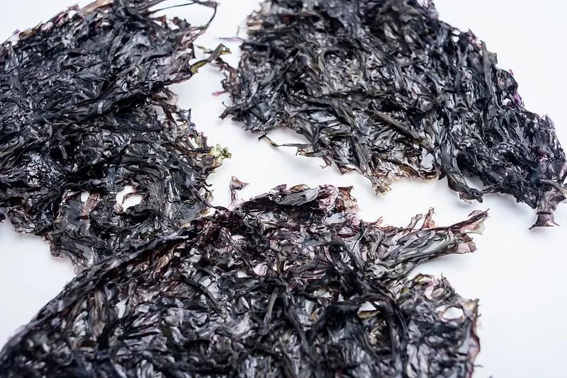 不要低估两片紫菜的威力，看完真的破防了千万别小看生活里不起眼的小东西，有时候