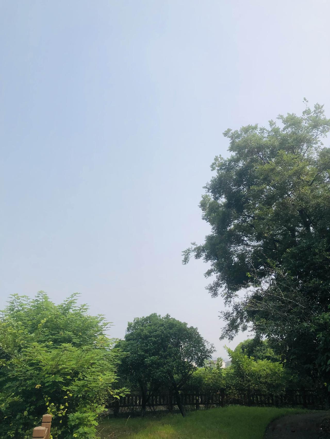 可以分享一张你拍的天空美照吗跑步的路上随手拍下这片晴空，天朗气清，澄澈淡蓝。岸边