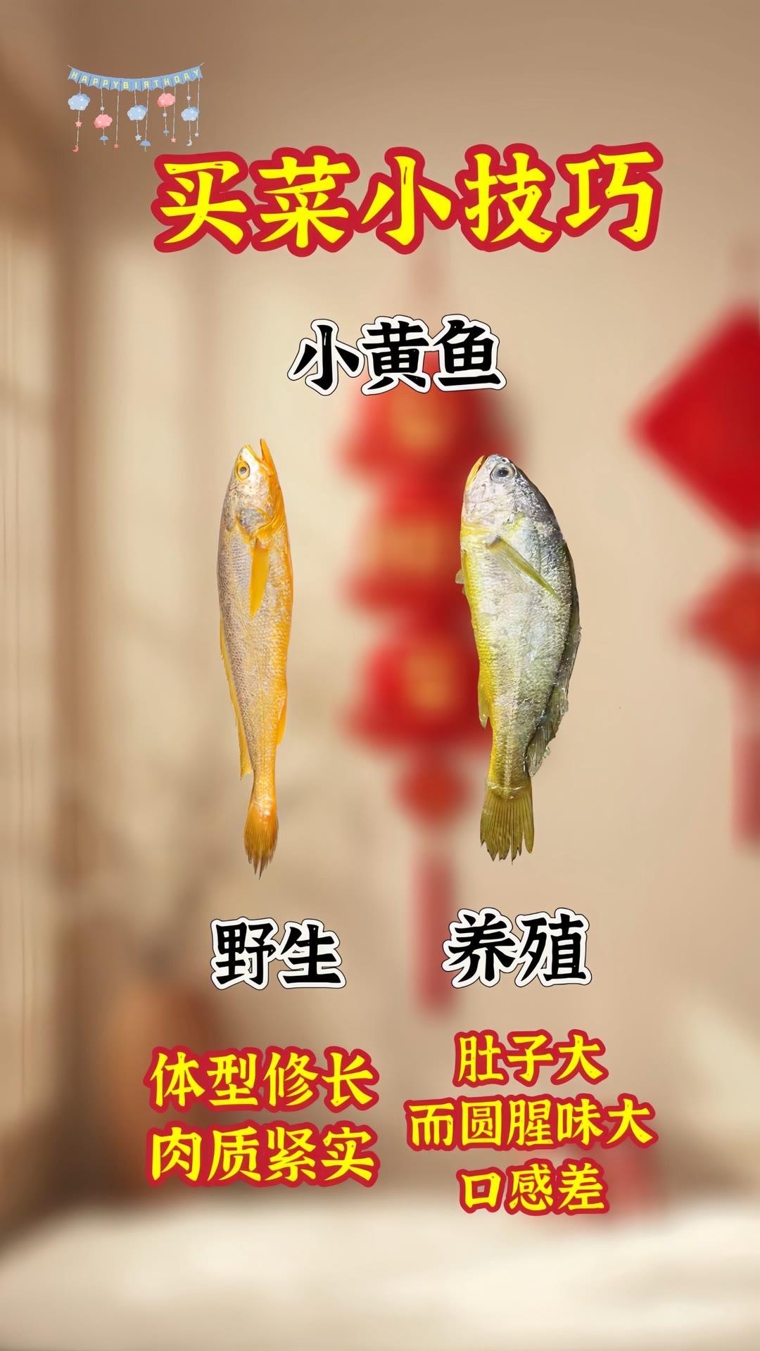 买菜不踩坑！6个挑菜口诀记牢。如何挑选蔬菜家庭买菜技巧应季蔬菜挑选厨房必备