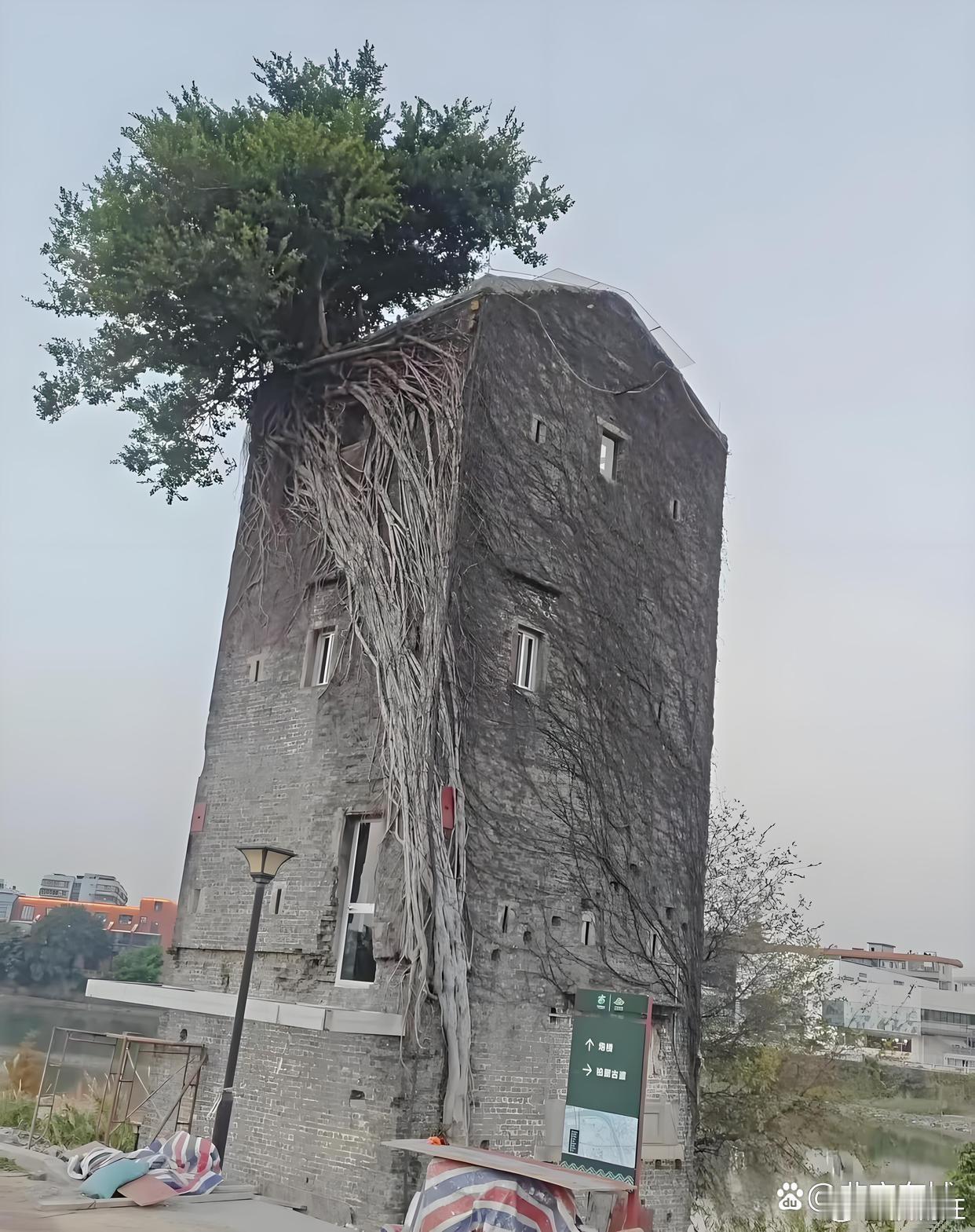 同一地点，相隔一年。​​​