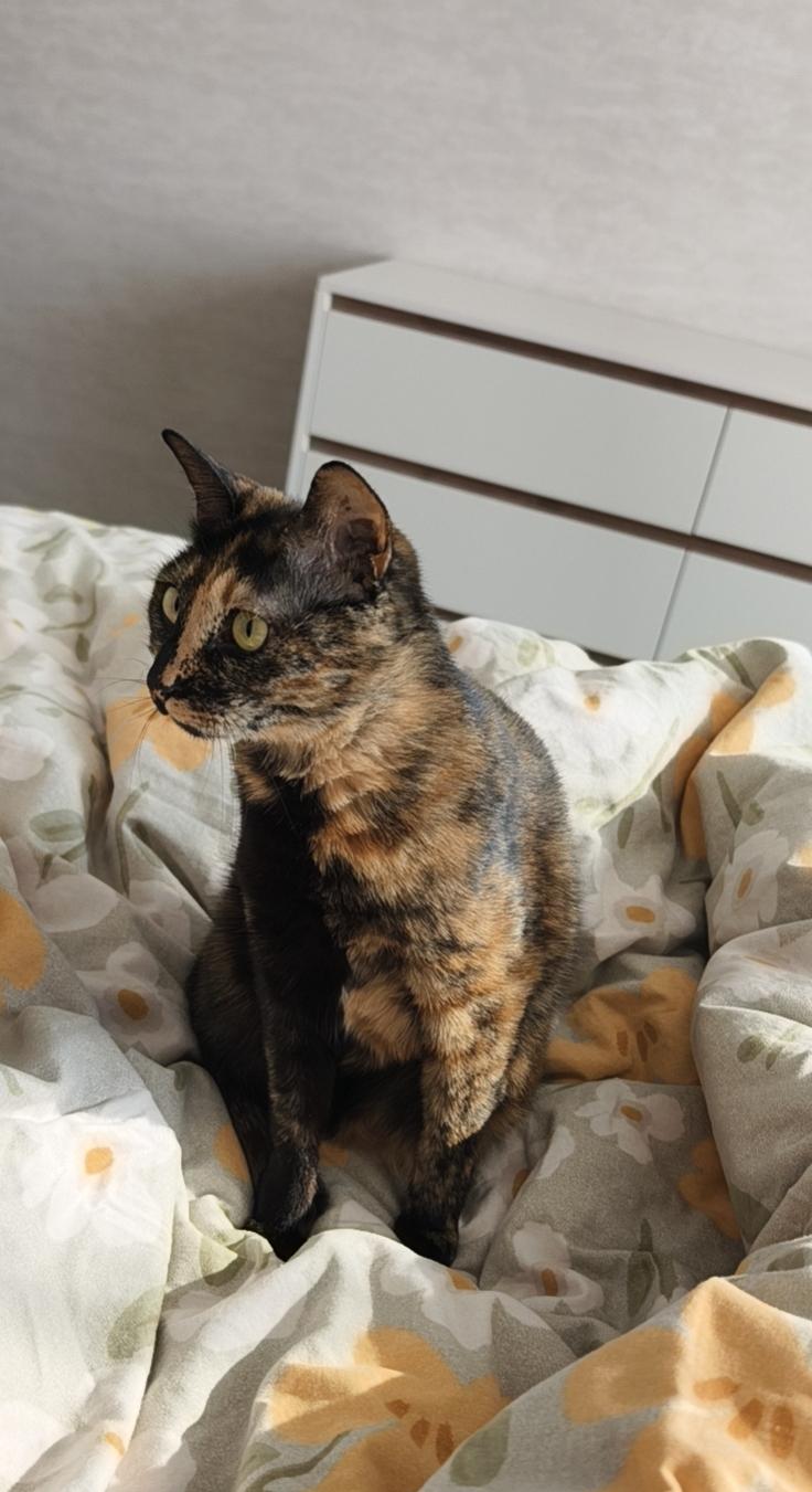 过去的一年是我家收入最高的一年，全家年收入80＋个，包含了所有，当然也包括了公积