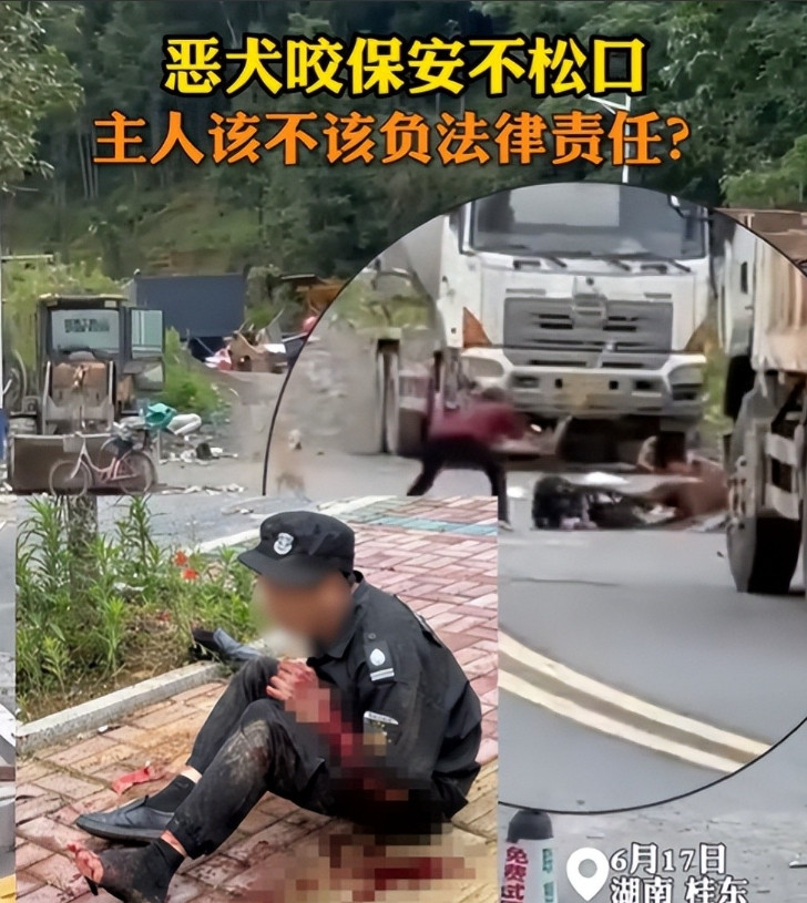湖南保安被狗撕咬惹众怒，狗主人放任不管，警察当场将狗击毙！
