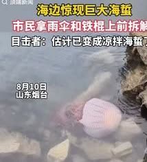 “这都是命啊！”据顶端新闻8月11日消息，山东烟台，一男子在海边游玩时，
