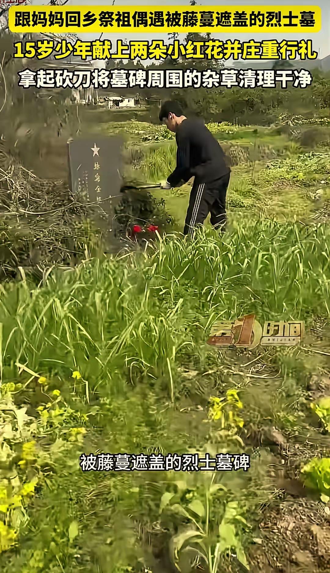 太懂事了！”江西九江，一女子带15岁儿子回乡上山祭祖，意外在途中发现一座长满藤蔓