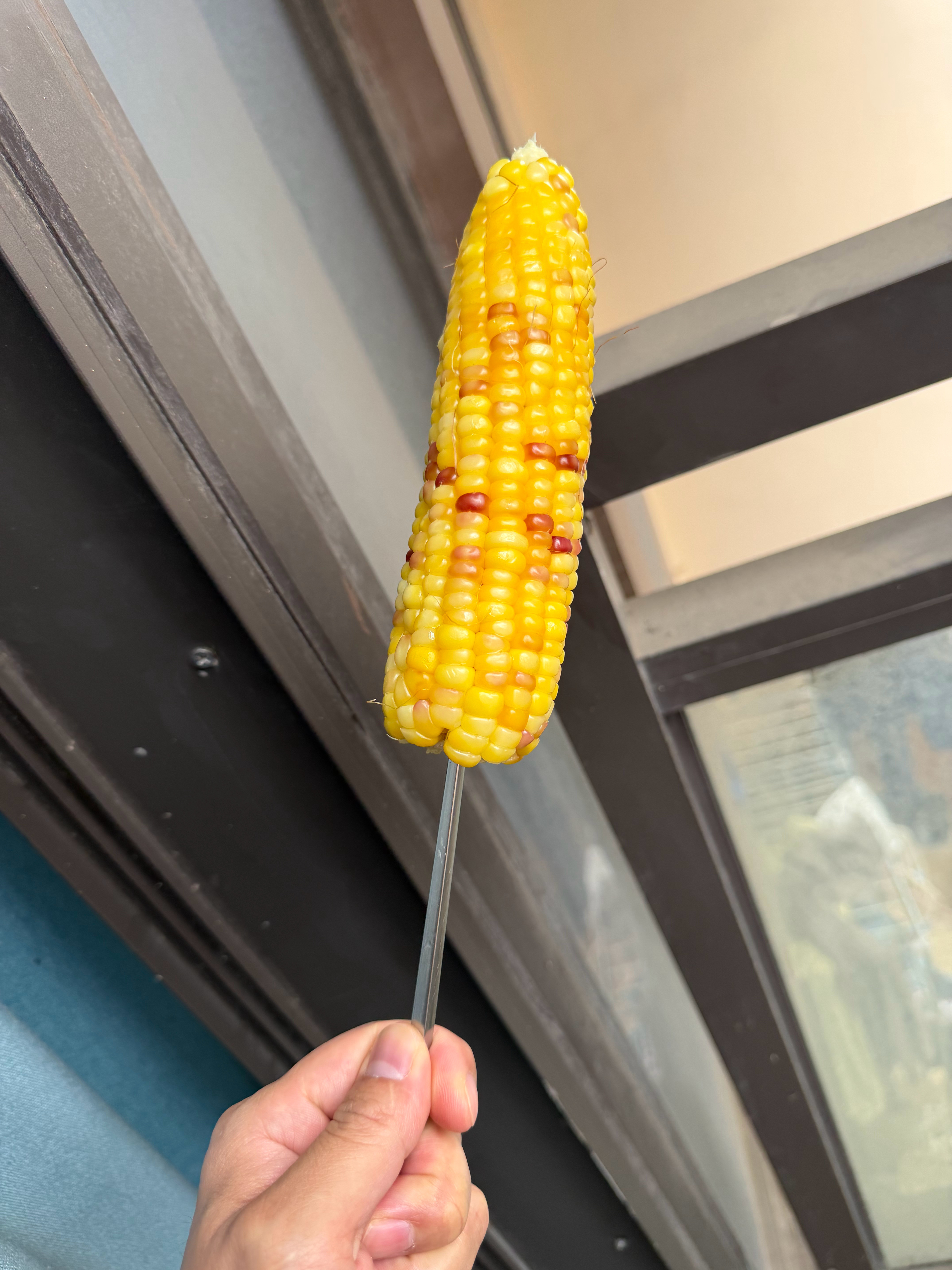 早餐吃个棒槌，你们早餐吃啥，有没有超过5元