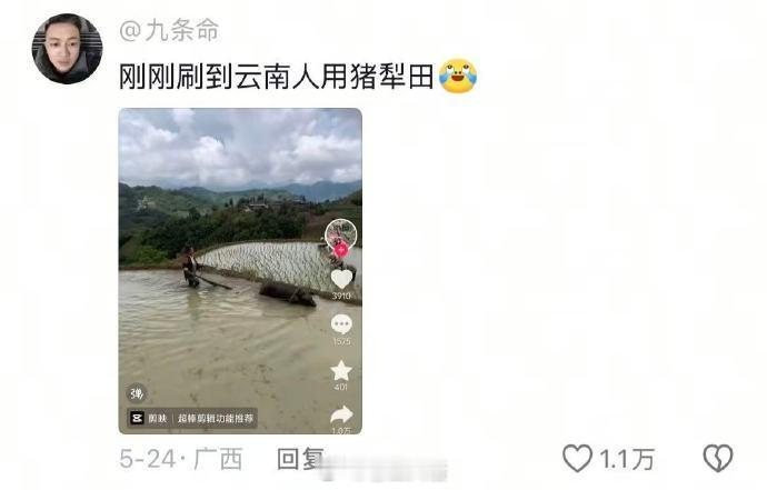 云南终究还是滇成了我不敢想象的样子🤣👌太松弛了​​​