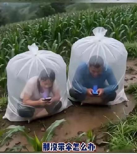 还真是个办法！