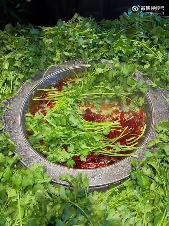 全球15%人自带“反香菜基因”？原来长大后爱上香菜，藏着岁月的温柔你是不是