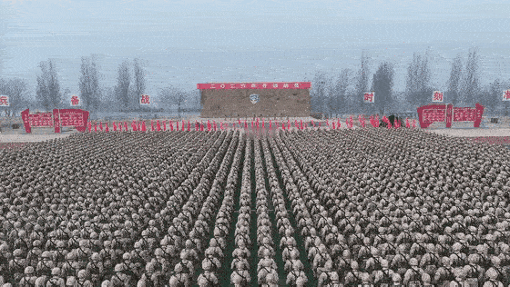 号令如山！全军2026实战化训练全面启动！陆军突击、海军犁波、空军亮剑、火箭军蓄