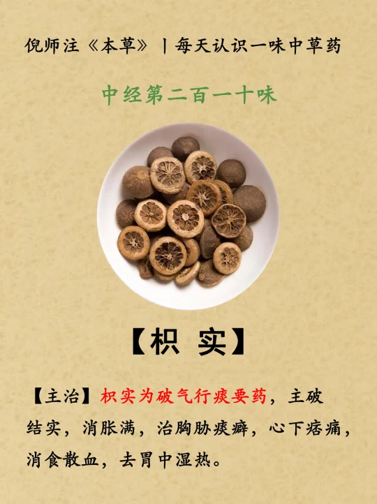 破气行痰丨中经第210-枳实