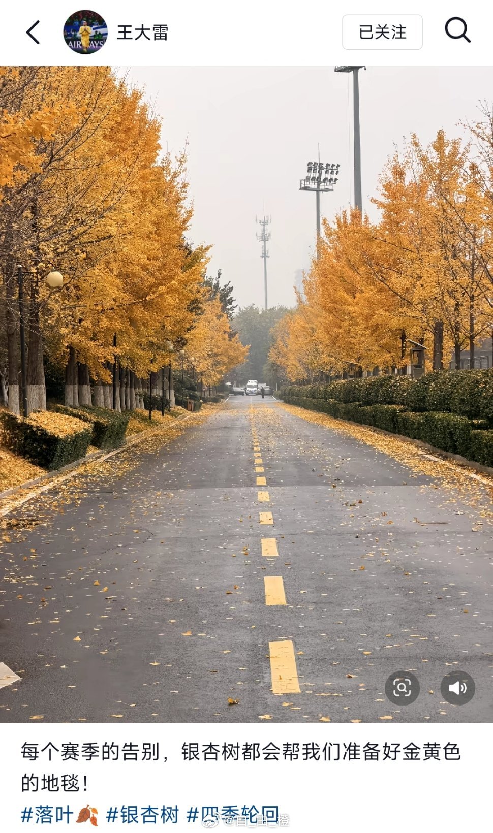 王大雷社媒动态自由橙山东泰山​​​