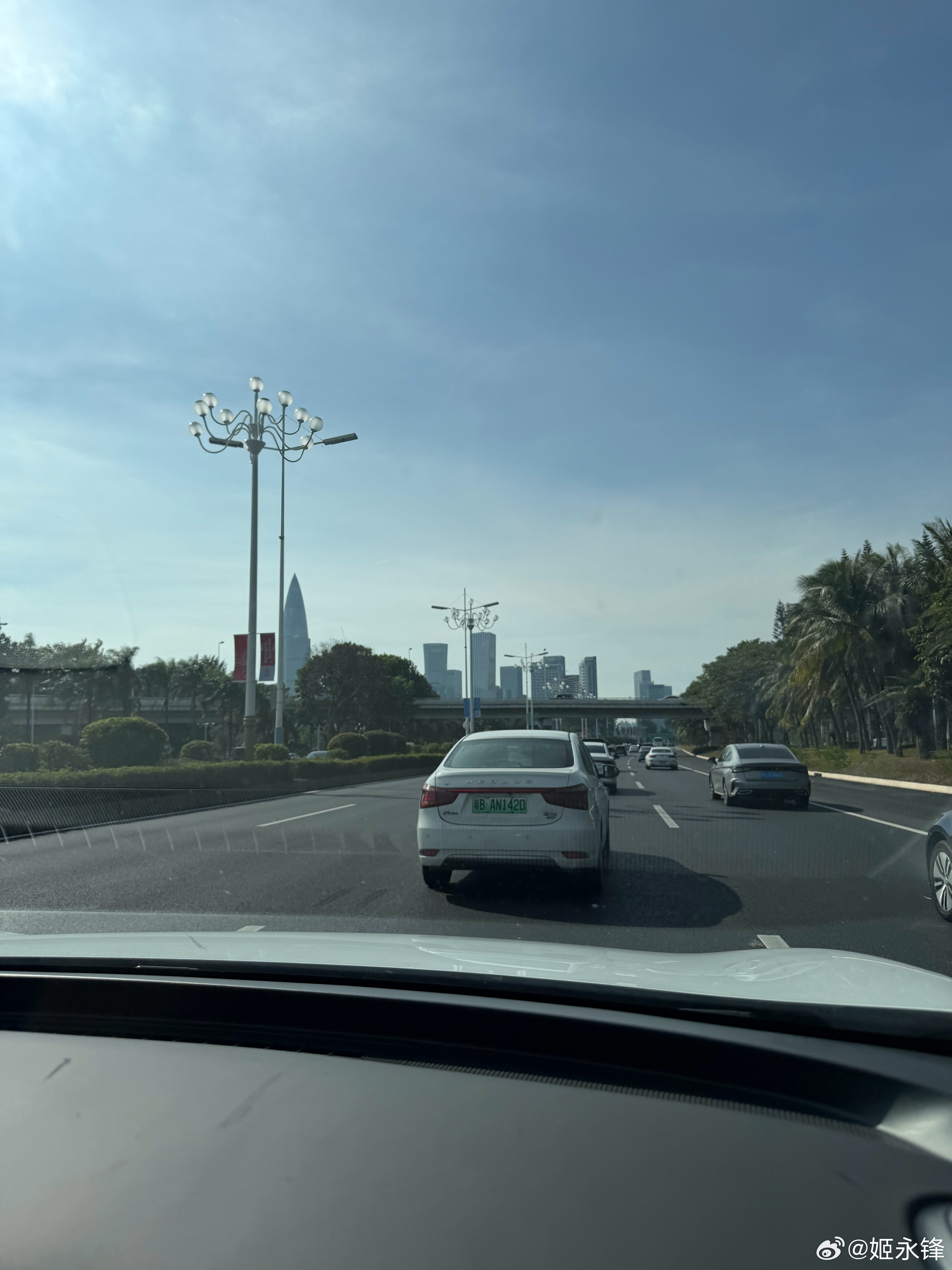 美丽的南山​​​