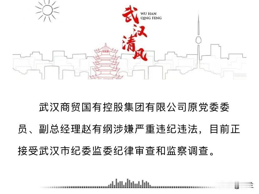 武汉商贸国有控股集团有限公司的赵有纲躲过了初一，没躲过十五！他长期在武汉市青山区