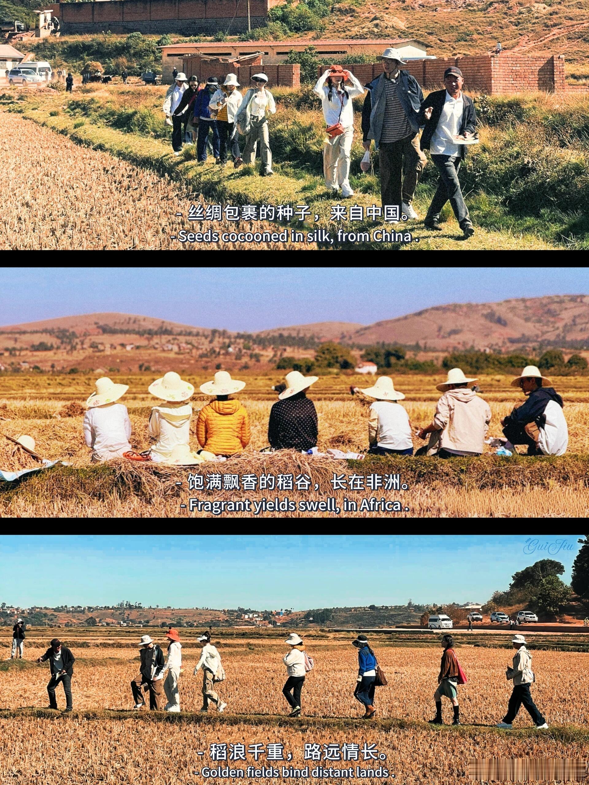 提前看到了《花少7》正片哈哈哈哈哈​​​