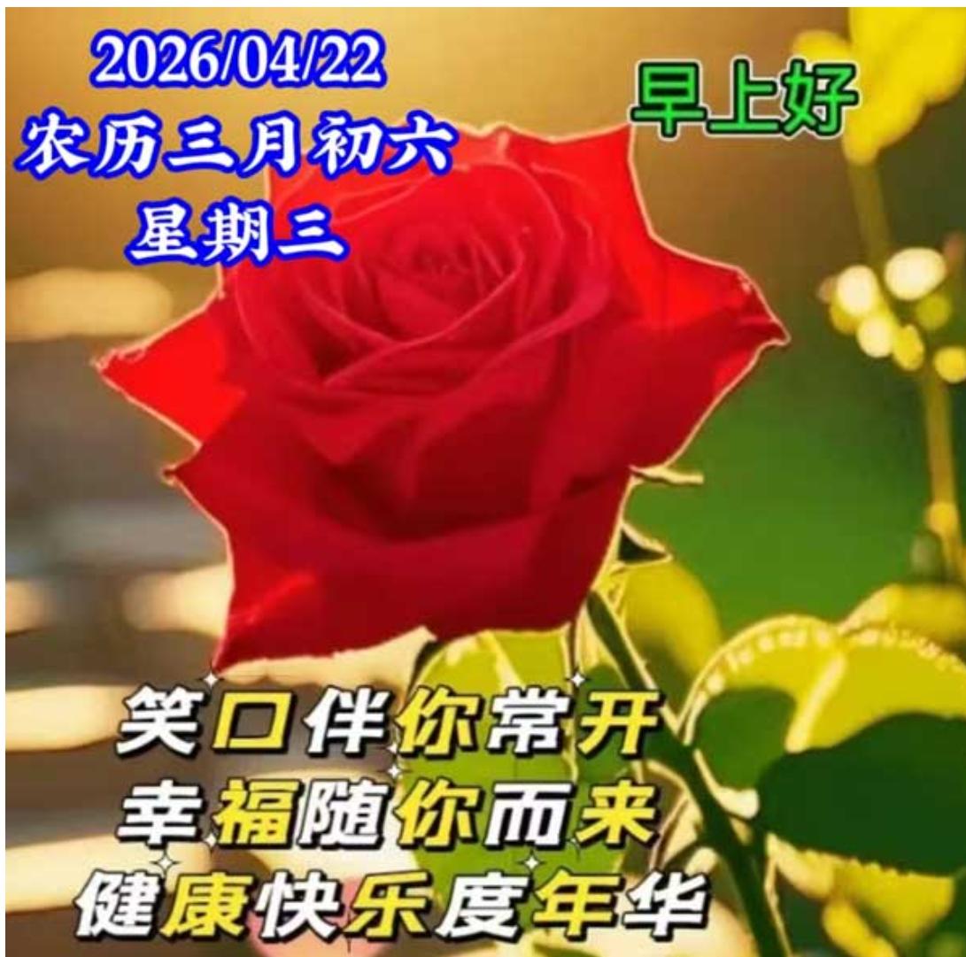 日历一掀，又是一天；即使不见，问候在先；晨光温柔，春意正浓；一声问候，满是