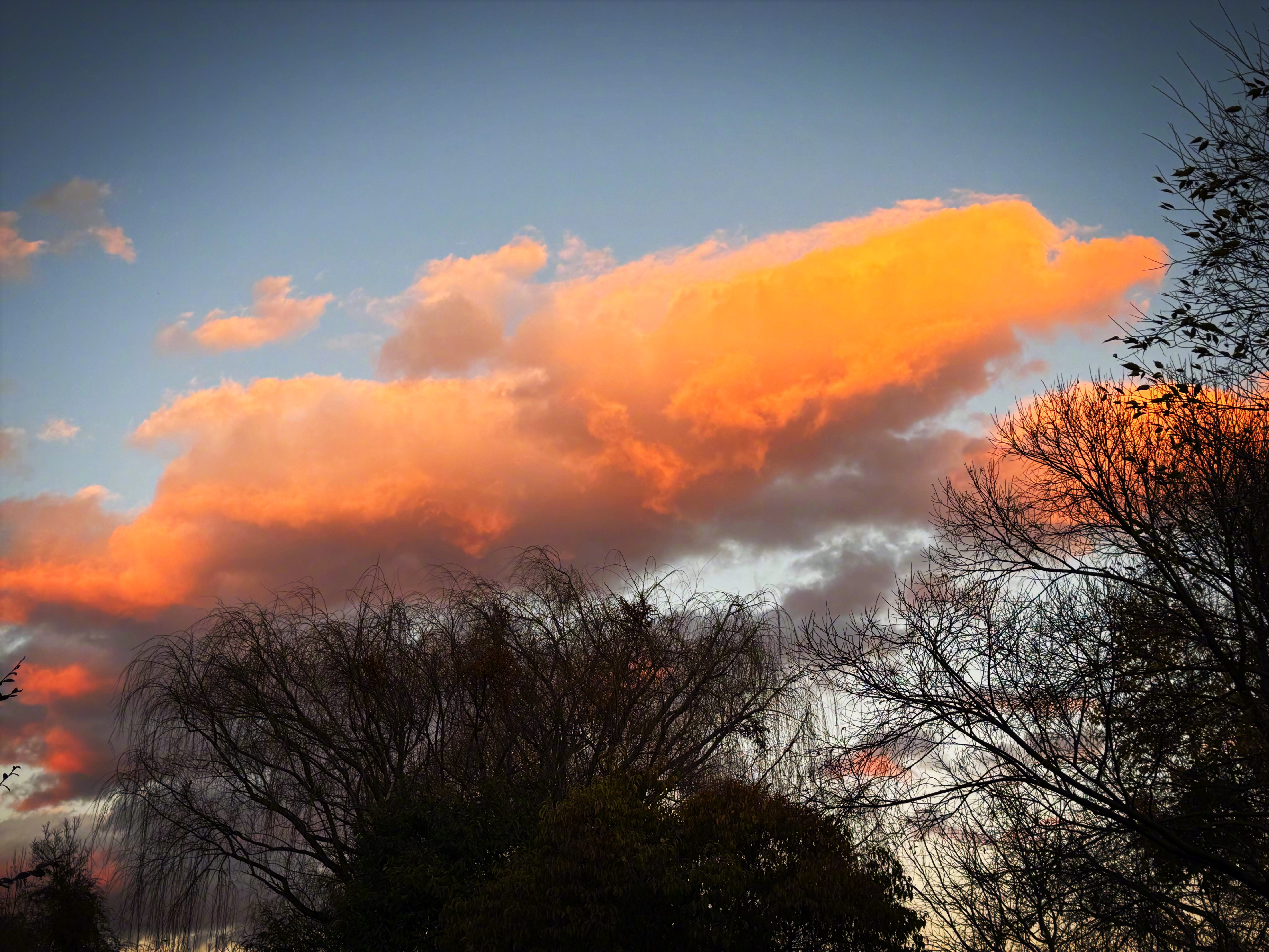 自己内在那个美好的世界被自己给创造出来了，美好的生命感受就会变成自己日常生活里的