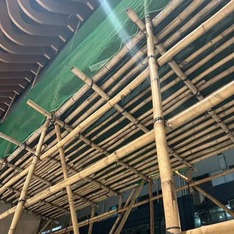 香港特区大埔火灾的“元凶”找到了据最新报道，11月26日下午，香