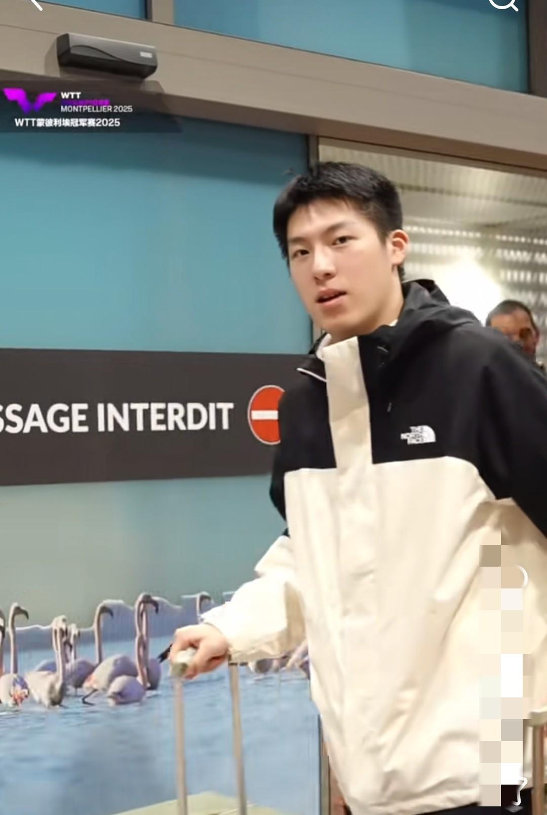 2026WTT重庆冠军赛国乒“双失”原因深度解析2026年WTT重庆冠军