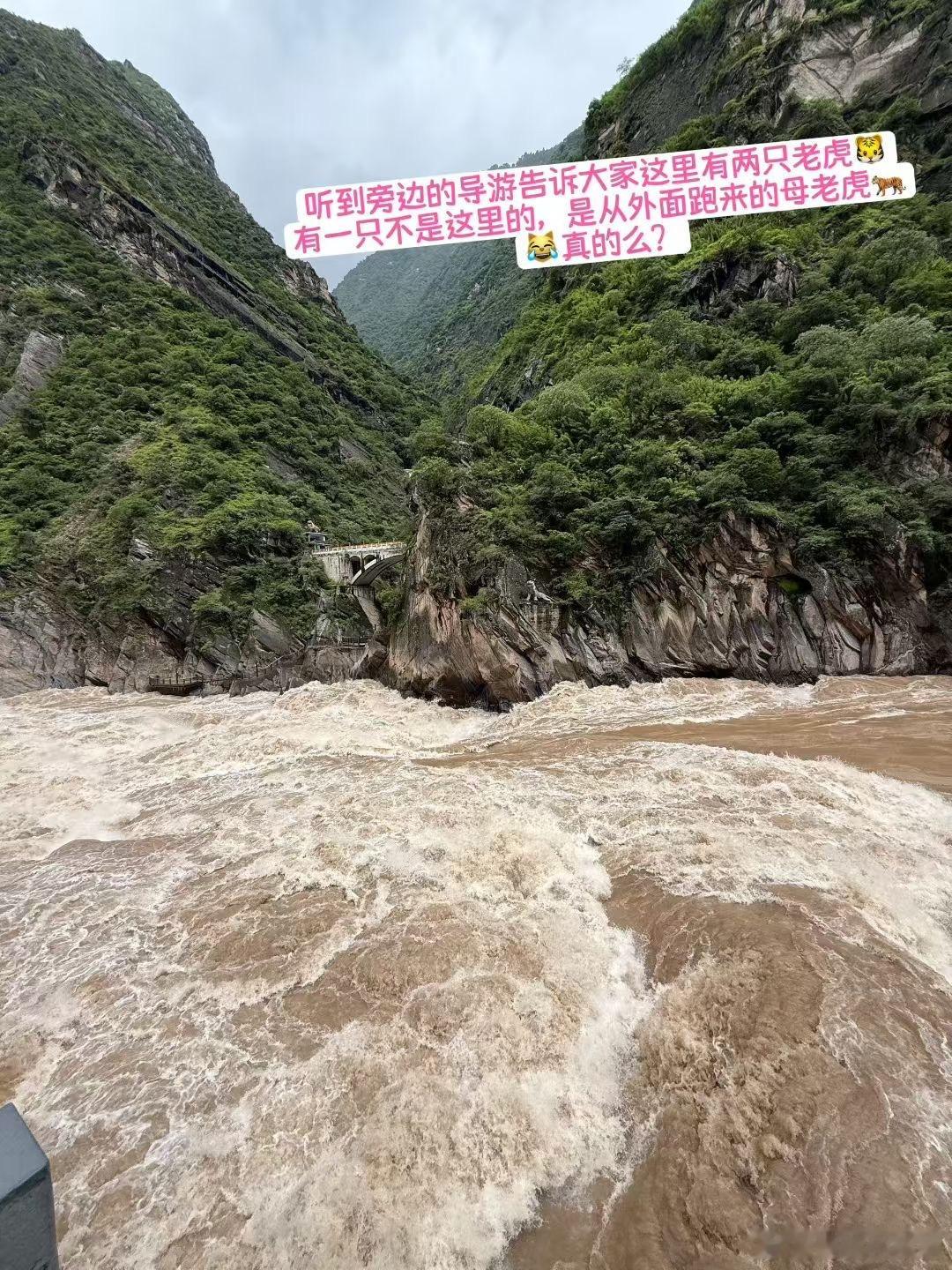 一些快要过期的图片[大笑]9月听说双鱼座特别旺[大笑]所有好运都来了财运旺旺旺[