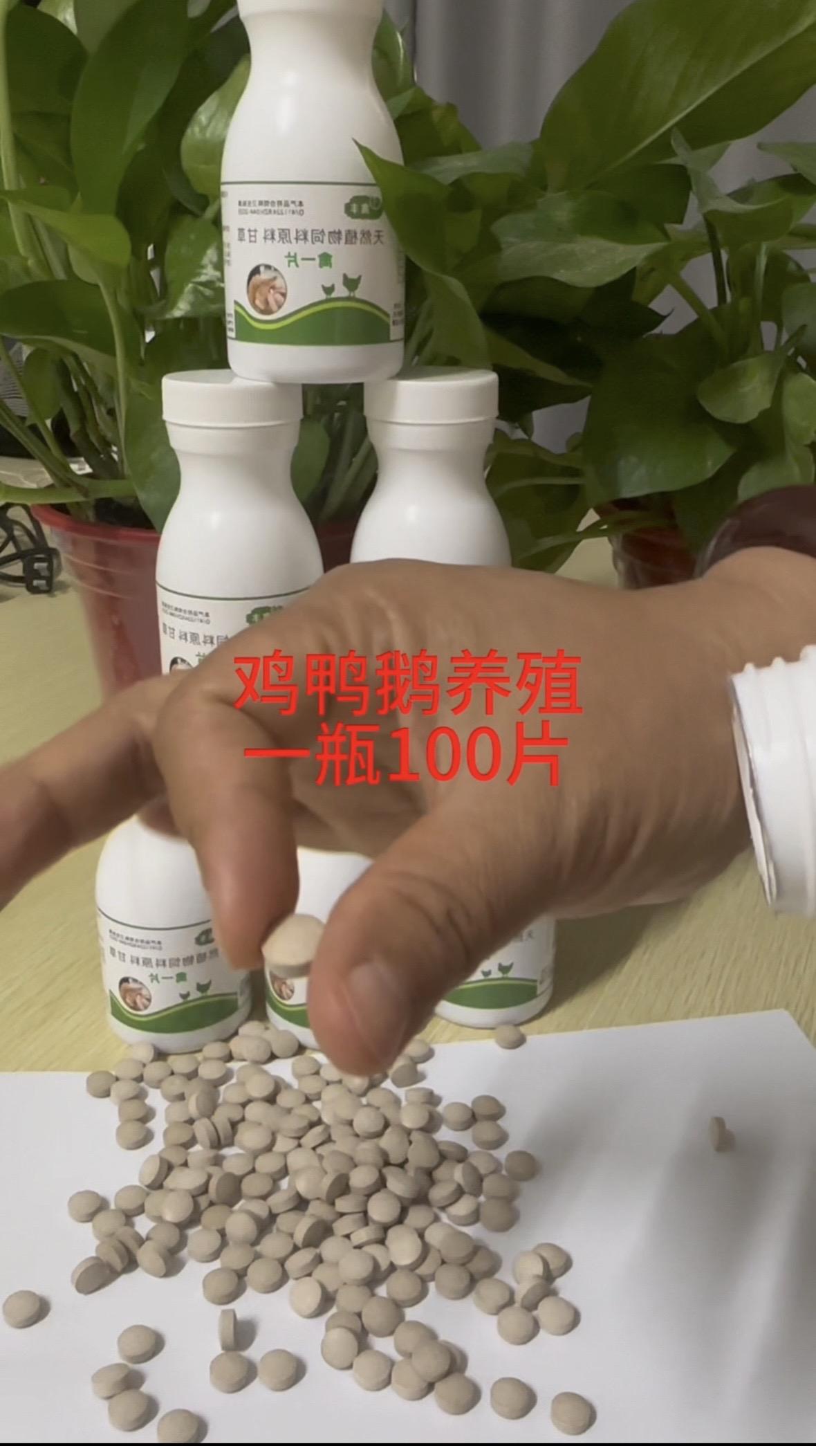 鸡鸭鹅养殖一瓶一百片鸡鸭鹅养殖鸡鸭鹅养殖小妙招鸡鸭鹅