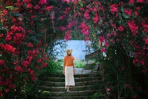 有着坚定方向的人，就不会再在意自己走得快了或是慢了，人只要走稳了，道路两旁皆是风