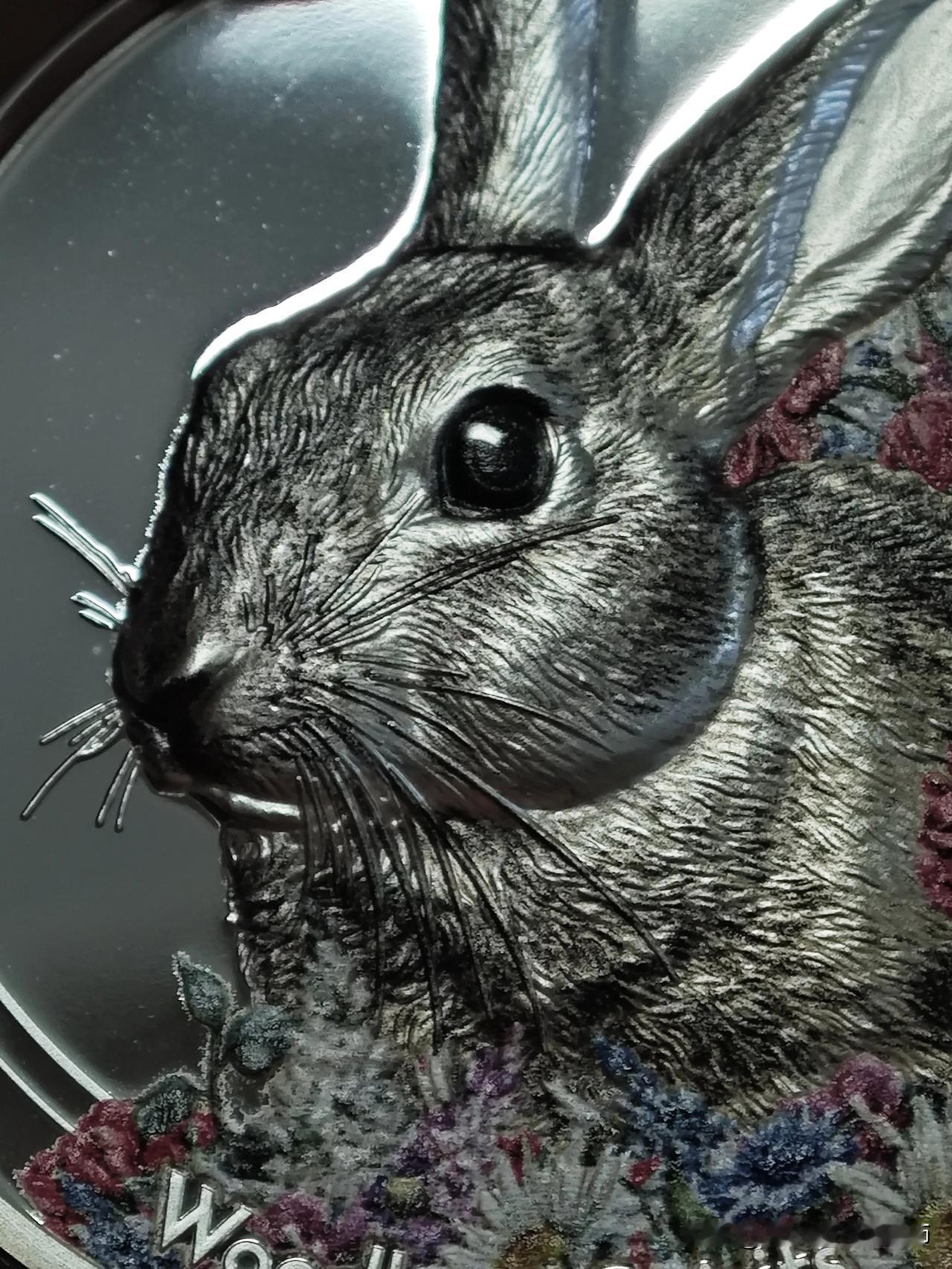 记录我的2026这个兔子是红烧还是清蒸好？全球发行1500枚。