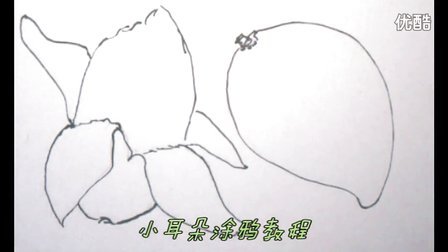 画芒果,儿童简笔画教学视频,怎样教幼儿画画最简单,乐
