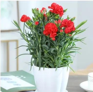 你以为4000块保姆费太贵？市场正在用数字扇醒这种错觉。2023年，全国住家