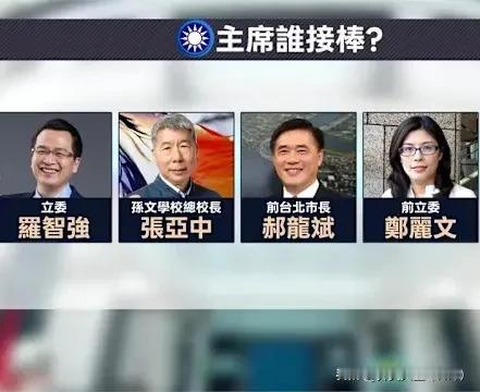 我们来关注国民党党魁之争！现在从这个郝龙斌昨天宣布参选之后，那现在就是四强正式的