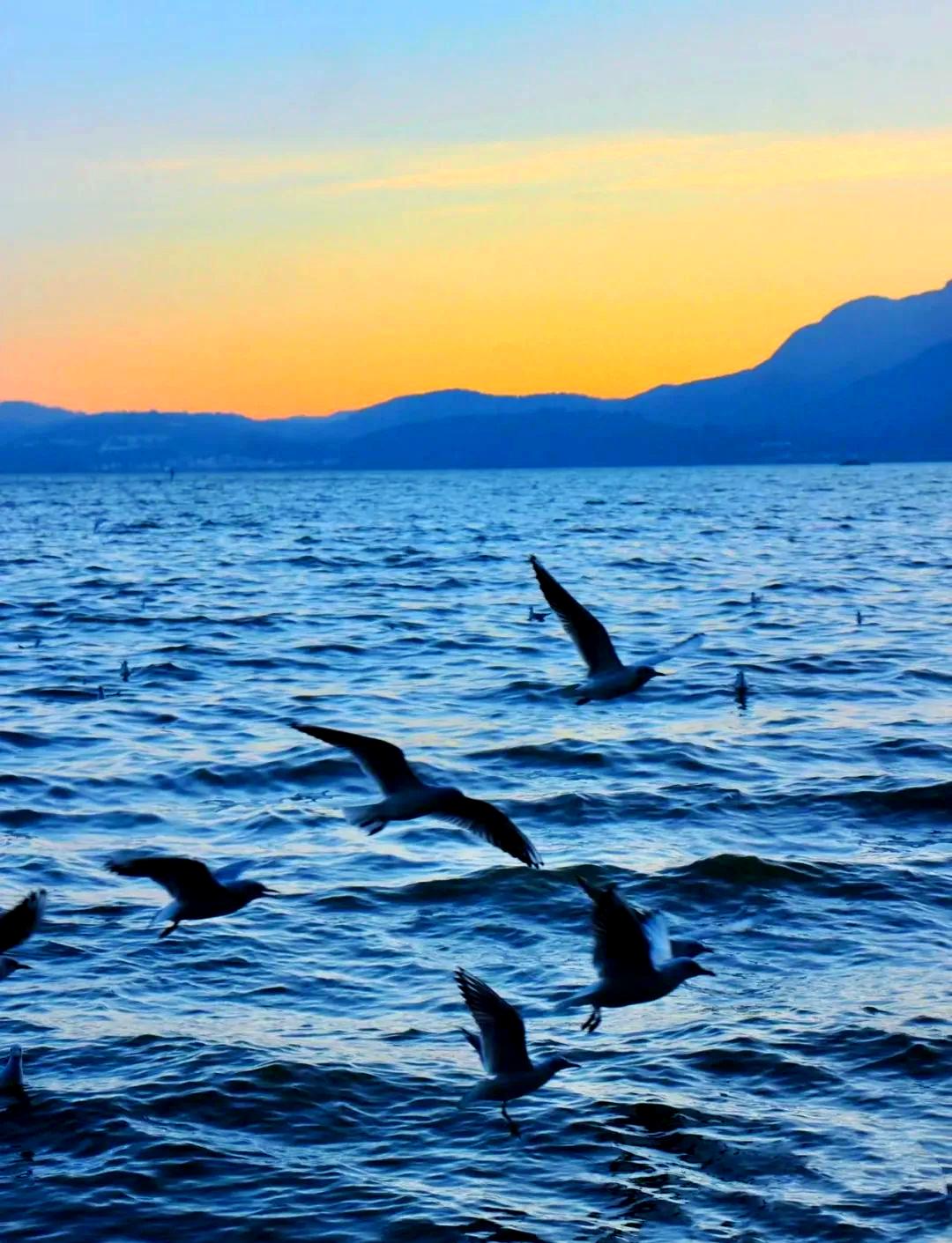 被云南滇池惊艳了！以前很多人对滇池的印象，还停留在污染、蓝藻，可现在再去看，