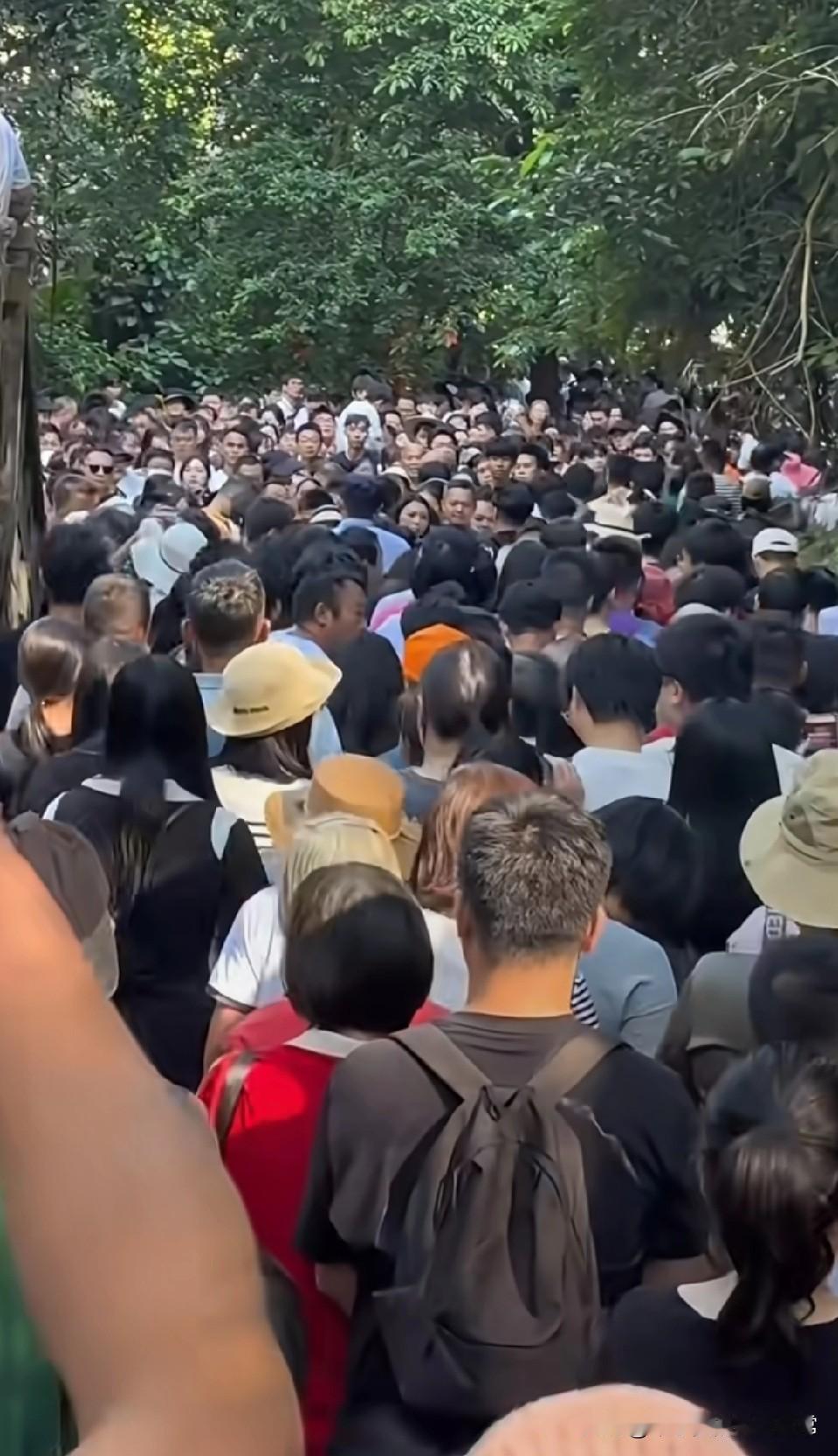 鼎湖山百万人扎堆，尿尿没地、吃饭靠抢肇庆鼎湖山彻底火出圈！百万游客把山路挤
