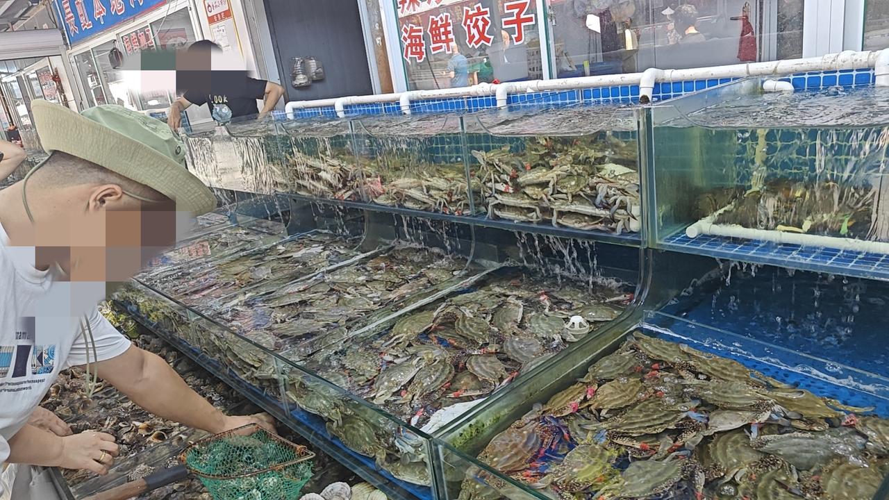 我昨天上午晚上溜达了两趟小市场，特意去了海鲜摊位。现在没有开海，螃蟹梭子蟹还是