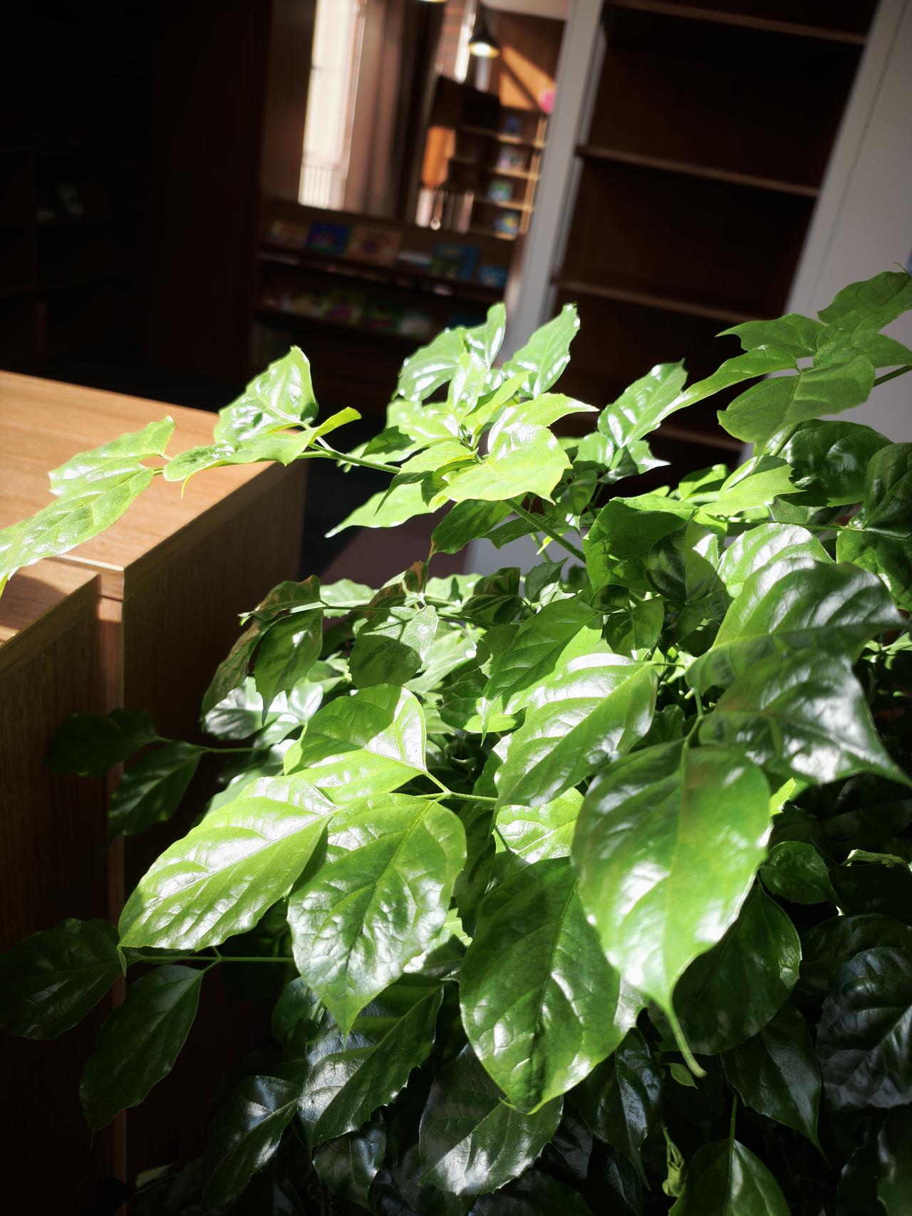 朋友家姑娘是个典型的三好学生，小学的时候当班长，成绩班里数一数二，能说能唱，还帮